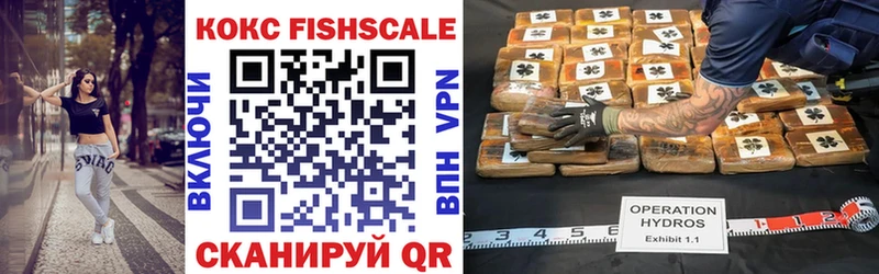 COCAIN Fish Scale  где купить   ссылка на мегу как зайти  Ейск 