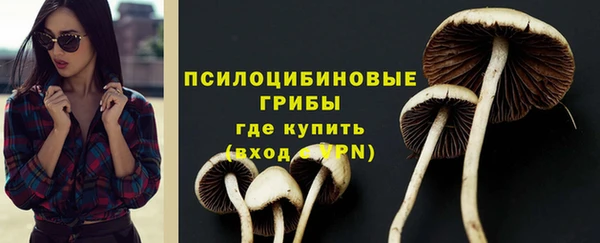 винт Новозыбков