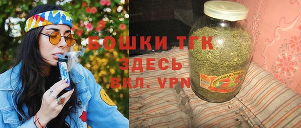 гашик Нея