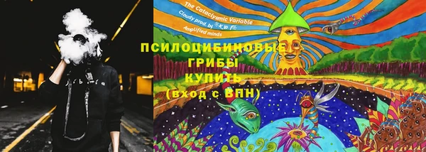 винт Новозыбков