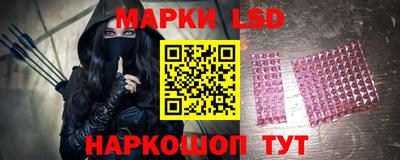 спиды Бийск