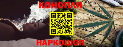 сатива Беслан