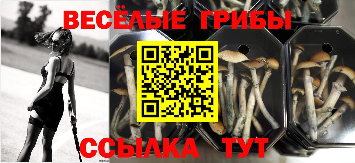 Галлюциногенные грибы MAGIC MUSHROOMS Ейск