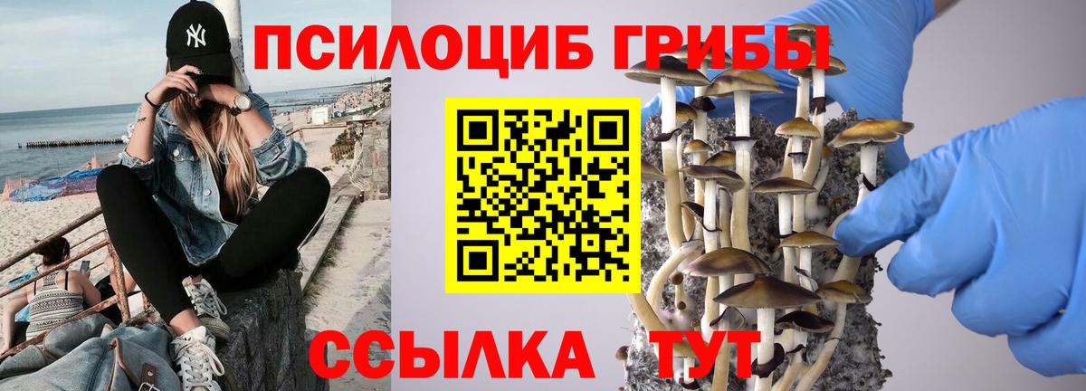 Псилоцибиновые грибы мицелий  где найти наркотики  Ейск 