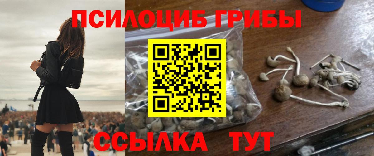 Галлюциногенные грибы MAGIC MUSHROOMS  Вход с VPN  Ейск 